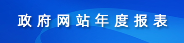 政府網(wǎng)站年度報(bào)表